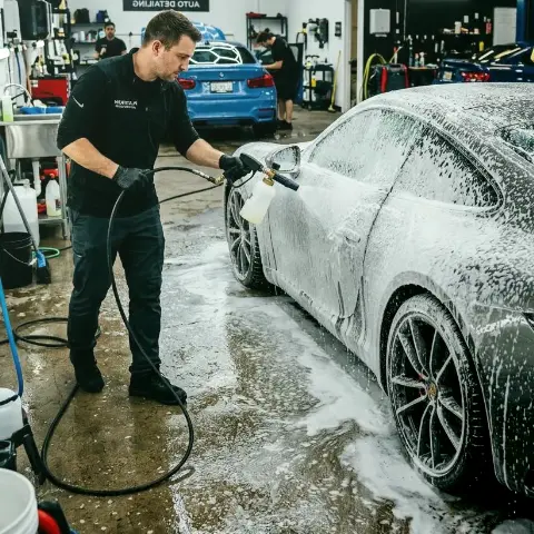 Cello Ulme – Technische Einblicke